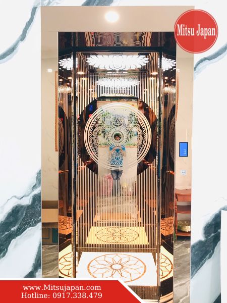 Thang máy mini gia đình 350kg tiết kiệm không gian, phù hợp nhà hẹp
