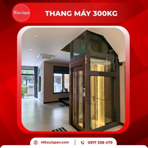 thang máy 300kg Mitsu Japan