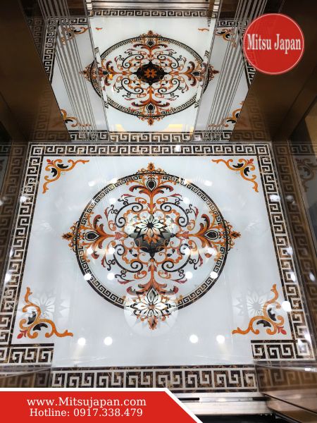 Trần cabin thang máy 320kg ngoài trời