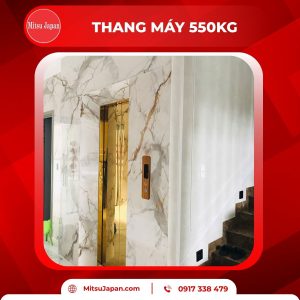 thang máy 550kg Mitsu Japan