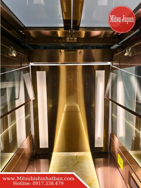 Trần cabin thang máy gia đình 300kg